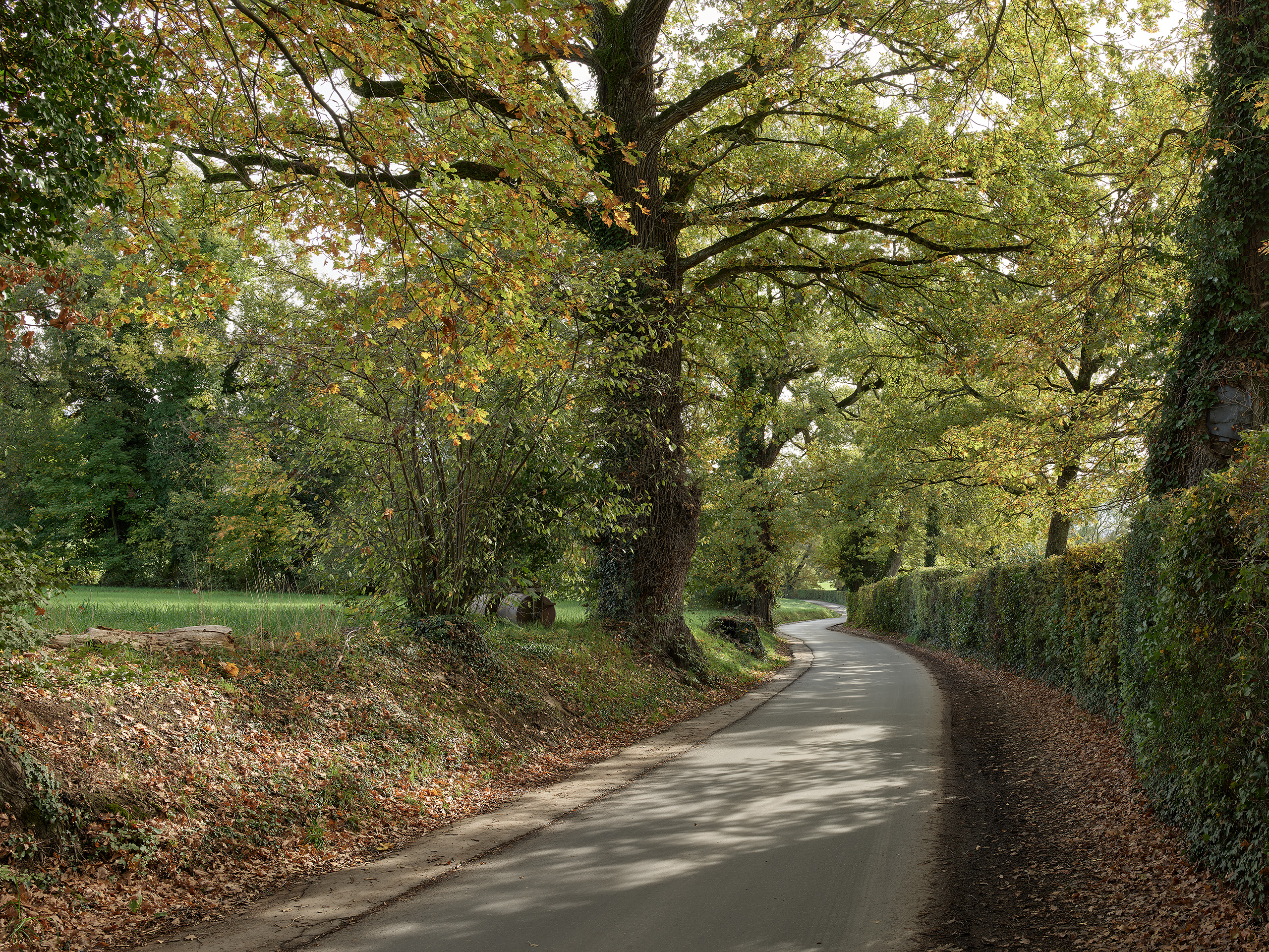 Ahp0094 AIQ4 013270 J2560